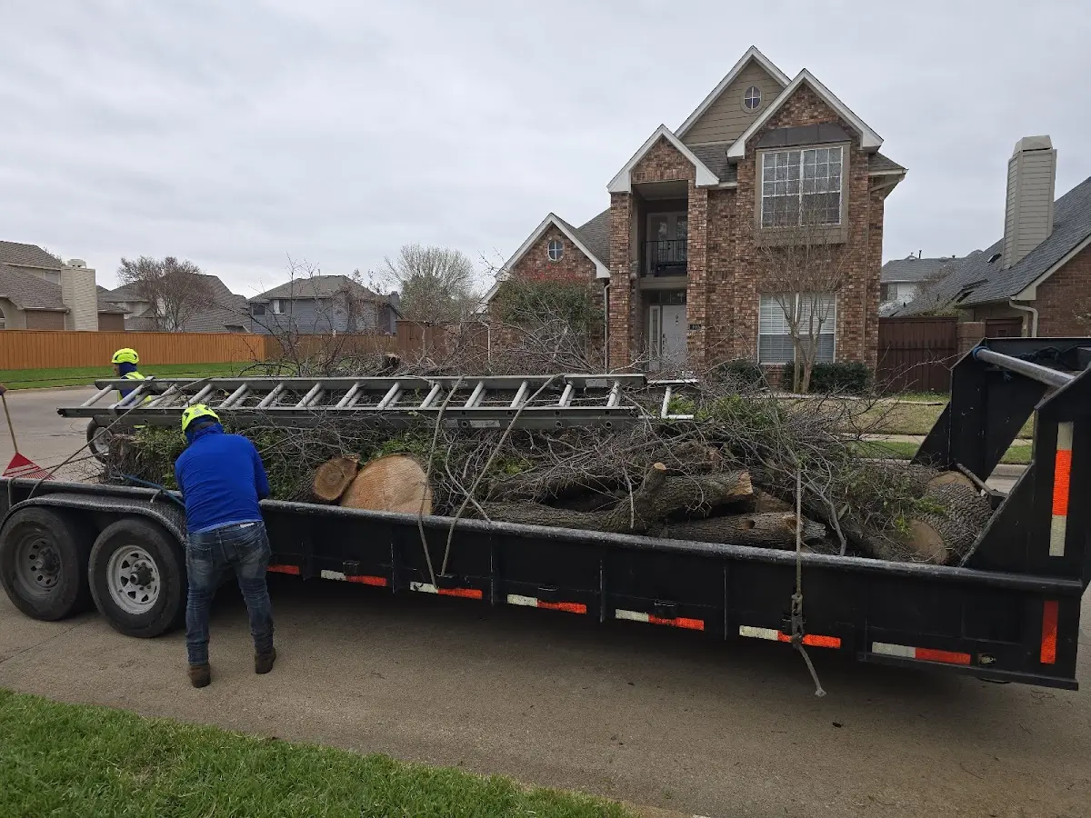 Expert Tree Pest Control with proper safety equipment in Harvard